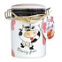 Dairy Fun Peach & Mango bath salt 650 g