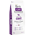 Brit Care Grain-free Salmon + potato mobile food for adult dogs of giant breeds 12 kg