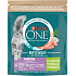 Purina ONE Bifensis Sensitive granules for cats turkey and rice, 750 g