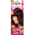 Schwarzkopf Palette Color & Gloss hair color 5 - 89