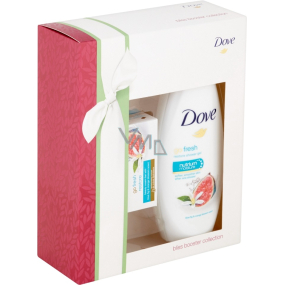 Dove Go Fresh Restore nourishing shower gel 250 ml + toilet soap 100 g, cosmetic set