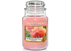 Yankee Candle Sun Drenched Apricot Rose - Embroidered apricot rose scented candle Classic large glass 623 g