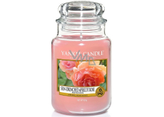 Apricot Rose Yankee Candle Sun Drenched Classic Apricot Rose 623 g