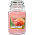 Yankee Candle Sun Drenched Apricot Rose - Scented Candle Classic Large Glass 623 g