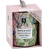 Aroma di Rogito Tropical Smoothy - Tropical smoothie scented candle glass 85 x 105 mm 200 g