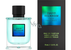 David Beckham True Instinct eau de parfum for men 75 ml
