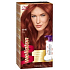 Wella Wellaton Hair Mousse 66/46 Red Cherry
