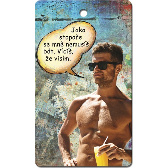 Bohemia Gifts Aromatic Scented Car Card Like a Hitchhiker 11 x 6.3 cm