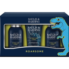 Baylis & Harding Men Citrus, Lime and Mint cleansing gel for body and hair 100 ml + cleansing gel for face 100 ml + aftershave 50 ml, cosmetic set