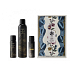 Oribe Dry Styling Texturizing invisible dry volumizing spray 75 ml + Texturizing invisible dry volumizing spray 300 ml + Gold Lust Dry Shampoo colorless dry hair shampoo 62 ml, cosmetic set 2021