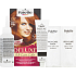 Schwarzkopf Palette Deluxe Hair Color Intense Shimmering Copper 7-77 (562), 50 ml