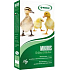 Mikros Poultry supplementary mineral feed with vitamins for breeding and fattening chickens, ducks, goslings and turkeys 1 kg