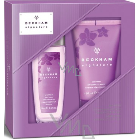 David Beckham Signature for Her perfumed deodorant glass for women 75 ml + shower gel 150 ml, cosmetic set