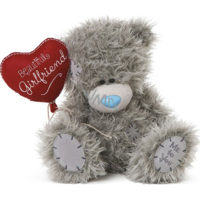 Me to You Teddy bear with heart Beautiful girlfriend 22 cm