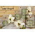 Lima Wellness Present Pine forest aroma candle green cube 65 x 65 mm 1 piece