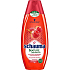Schauma Nature Moments Juicy raspberry and sunflower oil for color protection and shine hair shampoo 250 ml