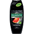 Palmolive Shower Gel and Shampoo Men Red Energising 3in1, 250 ml