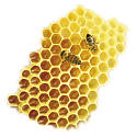 Bione Cosmetics Honey and Q10 Hand Balm for All Skin Types 205 ml