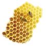 Bione Cosmetics Honey and Q10 Hand Balm for All Skin Types 205 ml