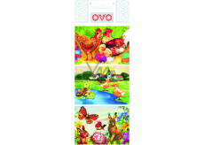 Ovo Egg foil Traditional 1 package = 9 pictures (shrink shirts)