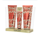 Vivian Gray Christmas Red body lotion 100 ml + shower gel 100 ml + hand cream 30 ml, cosmetic set
