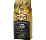 Carnival Adult Salmon & Turkey super premium complete food for adult dogs of all breeds 12 kg