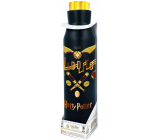 Epee Merch Harry Potter stainless steel thermo bottle black 580 ml