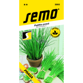 Semo Chives Praga 1.8 g