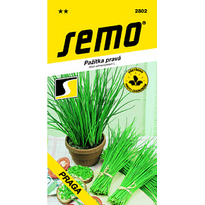 Semo Chives Praga 1.8 g