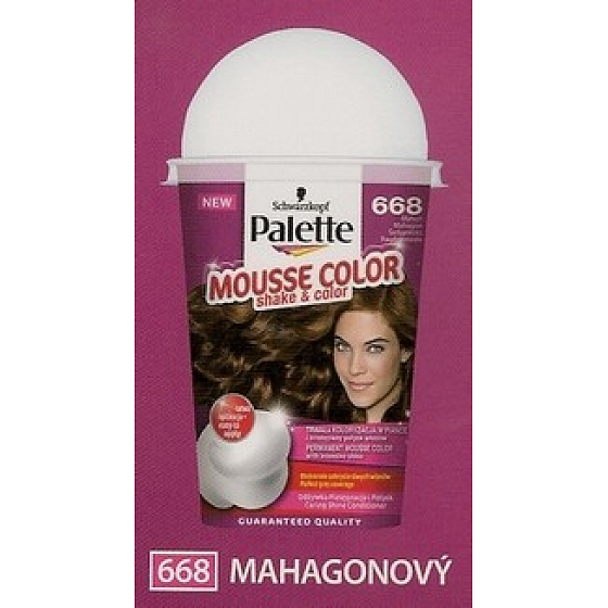 Schwarzkopf Palette Mousse Color Shake and Color Hair Color 668 Mahogany