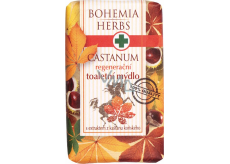 Bohemia Gifts Castanum Horse Chestnut Extract Regenerating Toilet Soap 100 g