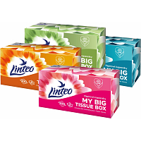 Linteo paper handkerchiefs 2-ply box, 200 pcs