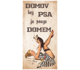 Bohemia Gifts Decorative painting for hanging Home without a dog 20 x 40 cm