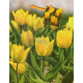 Nekupto Gift paper bag 23 x 18 x 10 cm Yellow tulips 1445 01 KFM