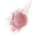 Bourjois Fard Pastel Joues Blush 54 Rose Frisson 2.5 g