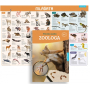 Albi Science Explore the world! Cubs The complete guide to the world of cubs for children, educational box age 8+