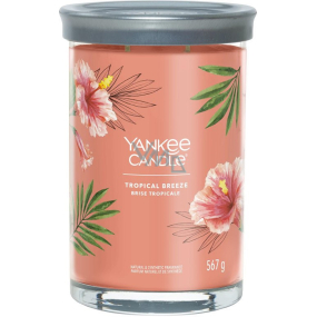 Yankee Candle Tropical Breeze - Tropical Breeze scented candle Signature Tumbler large glass 2 wicks 567 g