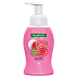 Palmolive Magic Softness Raspberry foam liquid hand sanitizer dispenser 250 ml