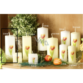 Lima Flower Tulip scented candle white with decal tulip prism 45 x 120 mm 1 piece