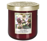 Heart & Home Wild Blackberry Soy Scented Candle Medium Burns up to 30 hours 110 g