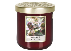 Heart & Home Wild Blackberry Soy Scented Candle Medium Burns up to 30 hours 110 g