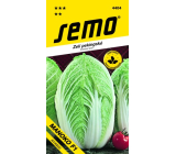 Semo Cabbage Chinese Manoko F1 Hybrid 40 seeds