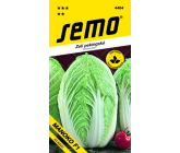 Semo Cabbage Chinese Manoko F1 Hybrid 40 seeds