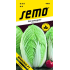 Semo Peking Cabbage Manoko F1 Hybrid 40 Seeds