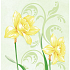Ditipo Paper napkins 3 ply 33 x 33 cm 20 pieces Easter Daffodils