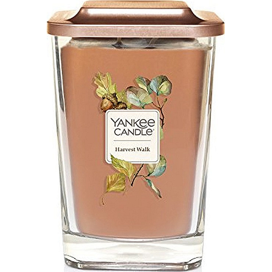 Yankee Candle Harvest Walk - Harvest Soy Scented Candle Elevation Large Glass 2 Wicks 553 g