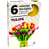 Tea Lights Tulip scented tea lights 6 pieces
