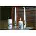 Lima Relief winter tree candle white cone 22 x 250 mm 1 piece