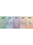 This Chic&Style 3-ply tissue pack, 10 pieces
