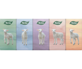 This Chic&Style 3-ply tissue pack, 10 pieces